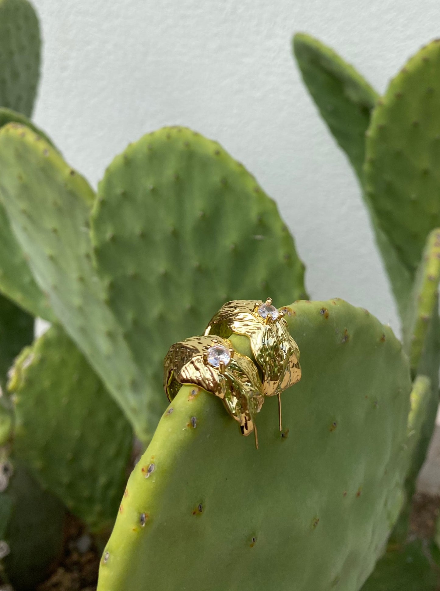 ESOTICA earrings
